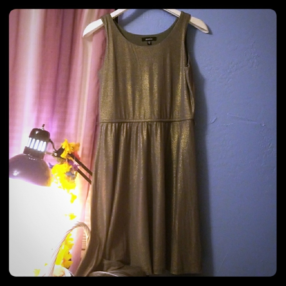 Glittery Silver Skater Dress